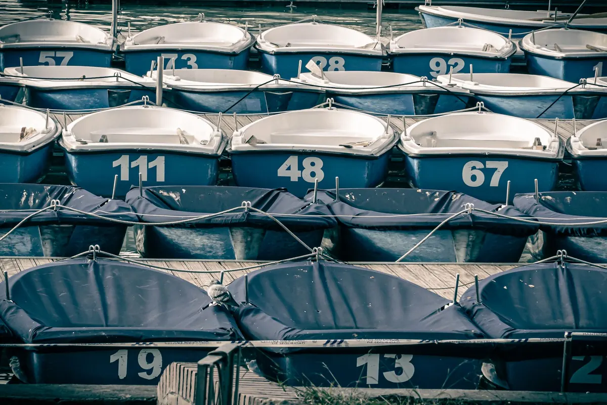 Rowing Terms Explained: A Glossary for New Rowers