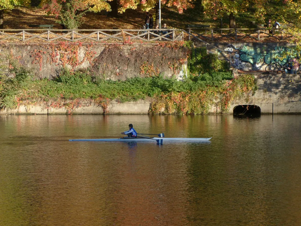 Sweep vs. Sculling: Which Rowing Style Should You Learn First?